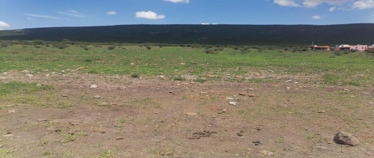 Foto de rancho en venta en  , colón centro, colón, querétaro, 0 No. 04