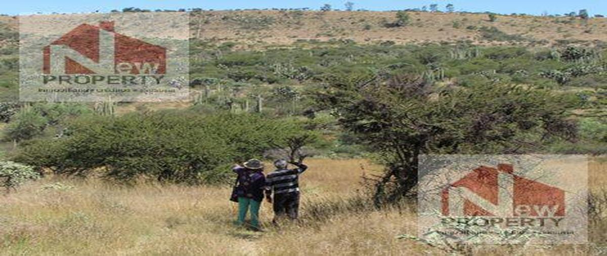 Foto de terreno habitacional en venta en  , colón centro, colón, querétaro, 0 No. 03