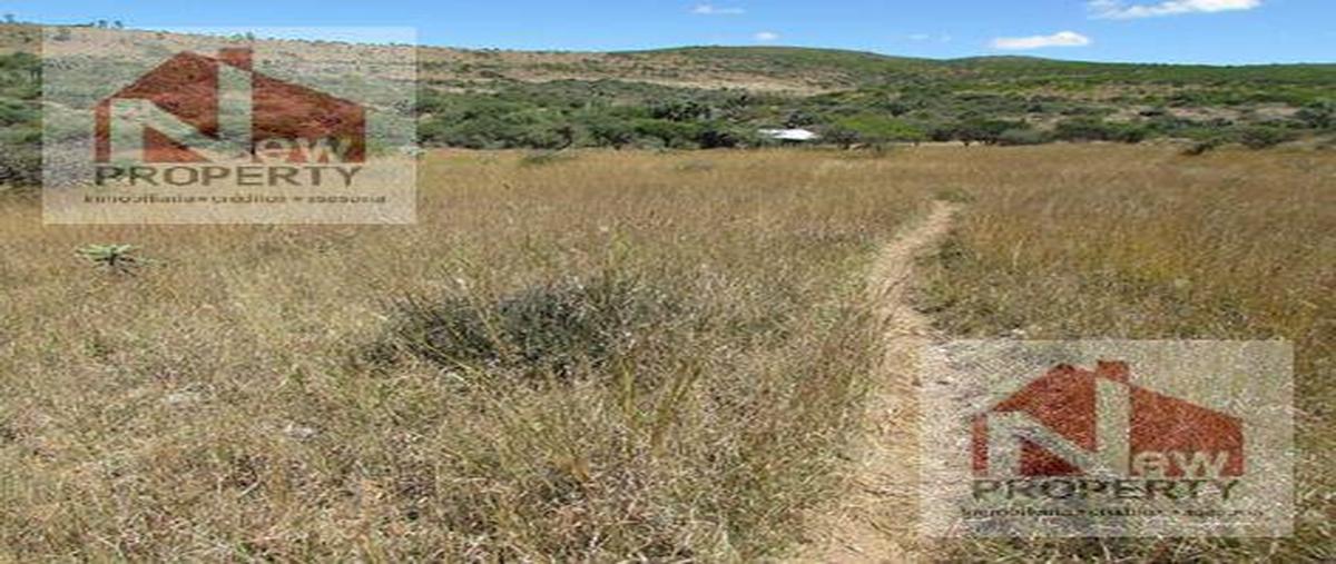 Foto de terreno habitacional en venta en  , colón centro, colón, querétaro, 0 No. 05