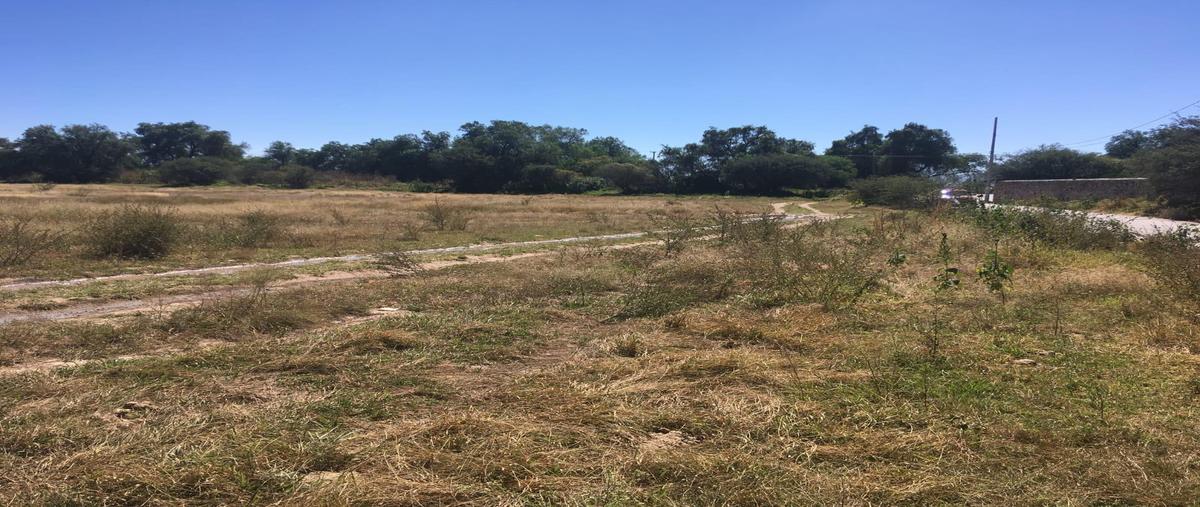 Foto de terreno habitacional en venta en  , colón centro, colón, querétaro, 31113383 No. 05