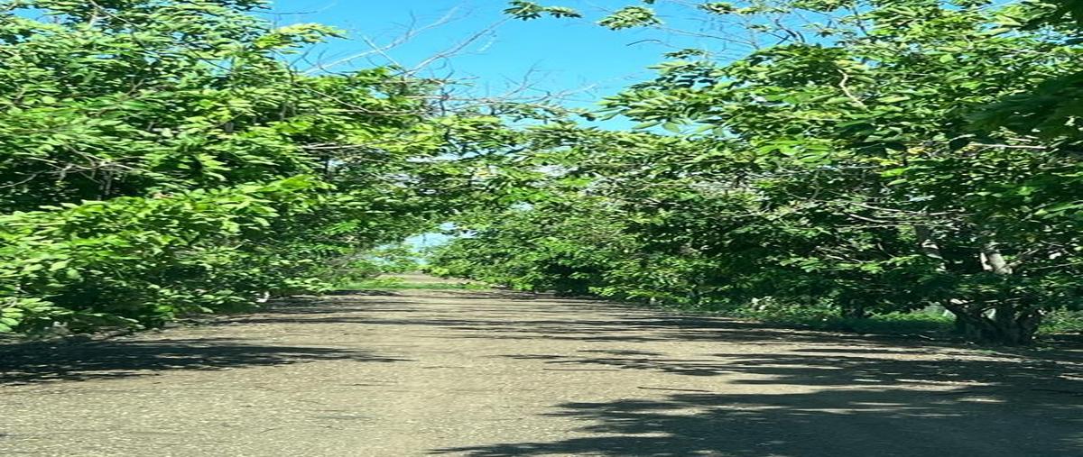 Foto de terreno habitacional en colón , culiacancito, culiacán, sinaloa, 0 foto 02 Foto de terreno habitacional en venta en colón , culiacancito, culiacán, sinaloa, 0 No. 02
