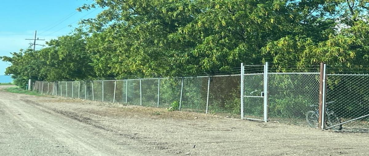 Foto de terreno habitacional en colón , culiacancito, culiacán, sinaloa, 0 foto 03 Foto de terreno habitacional en venta en colón , culiacancito, culiacán, sinaloa, 0 No. 03
