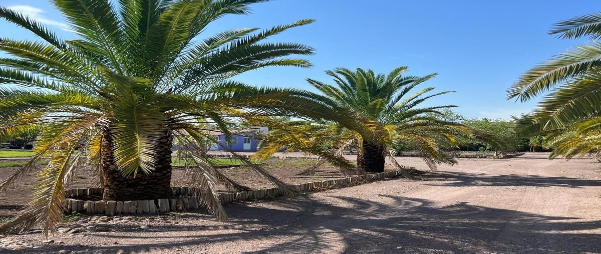 Foto de terreno habitacional en colón , culiacancito, culiacán, sinaloa, 0 foto 04 Foto de terreno habitacional en venta en colón , culiacancito, culiacán, sinaloa, 0 No. 04
