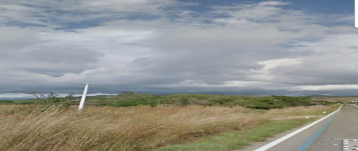 Foto de terreno habitacional en colonia cardenas , lázaro cárdenas, cintalapa, chiapas, 24581023 foto 05 Foto de terreno habitacional en renta en colonia cardenas , lázaro cárdenas, cintalapa, chiapas, 24581023 No. 05