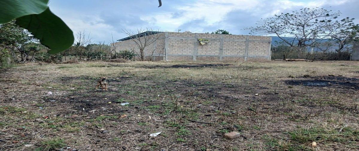 Foto de terreno habitacional en venta en colonia el arenal , nuevo, ocozocoautla de espinosa, chiapas, 0 No. 03