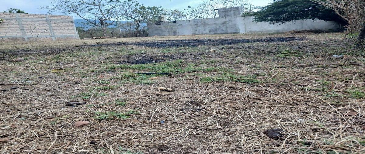 Foto de terreno habitacional en venta en colonia el arenal , nuevo, ocozocoautla de espinosa, chiapas, 0 No. 04