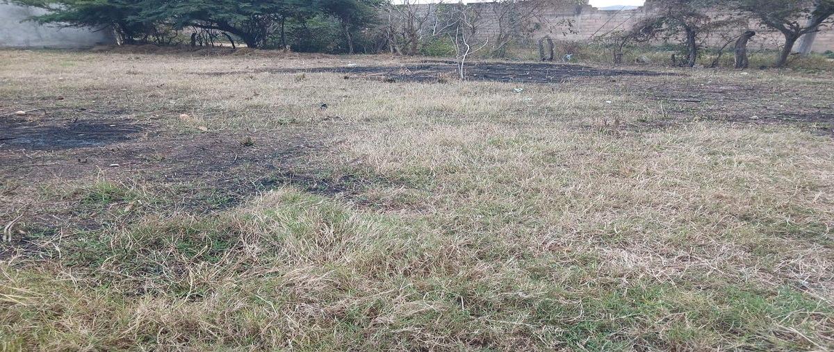 Foto de terreno habitacional en venta en colonia el arenal , nuevo, ocozocoautla de espinosa, chiapas, 0 No. 05