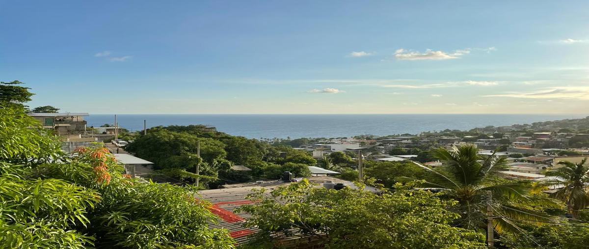 Foto de casa en colonia jardin , jardín palmas, acapulco de juárez, guerrero, 26974193 foto 02 Foto de casa en venta en colonia jardin , jardín palmas, acapulco de juárez, guerrero, 26974193 No. 02