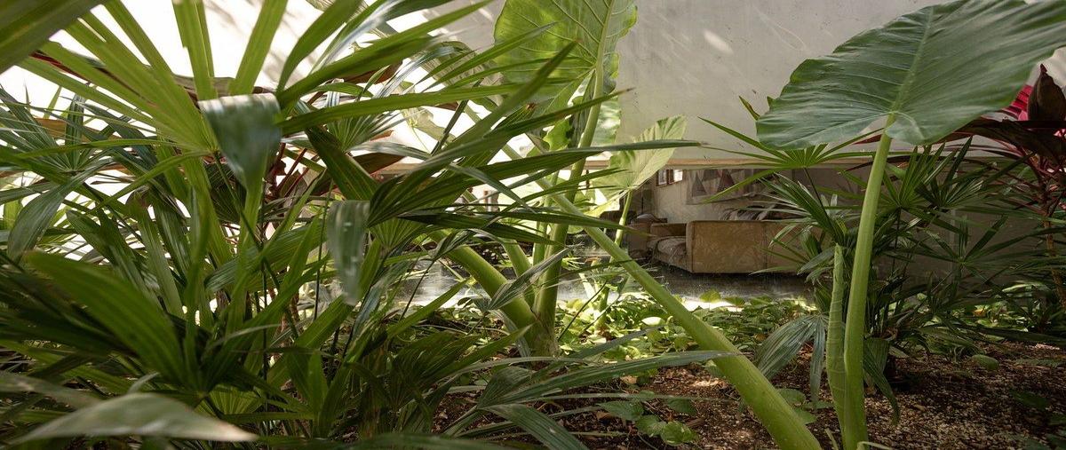 Foto de casa en venta en colonia , jesús carranza, mérida, yucatán, 31083026 No. 03