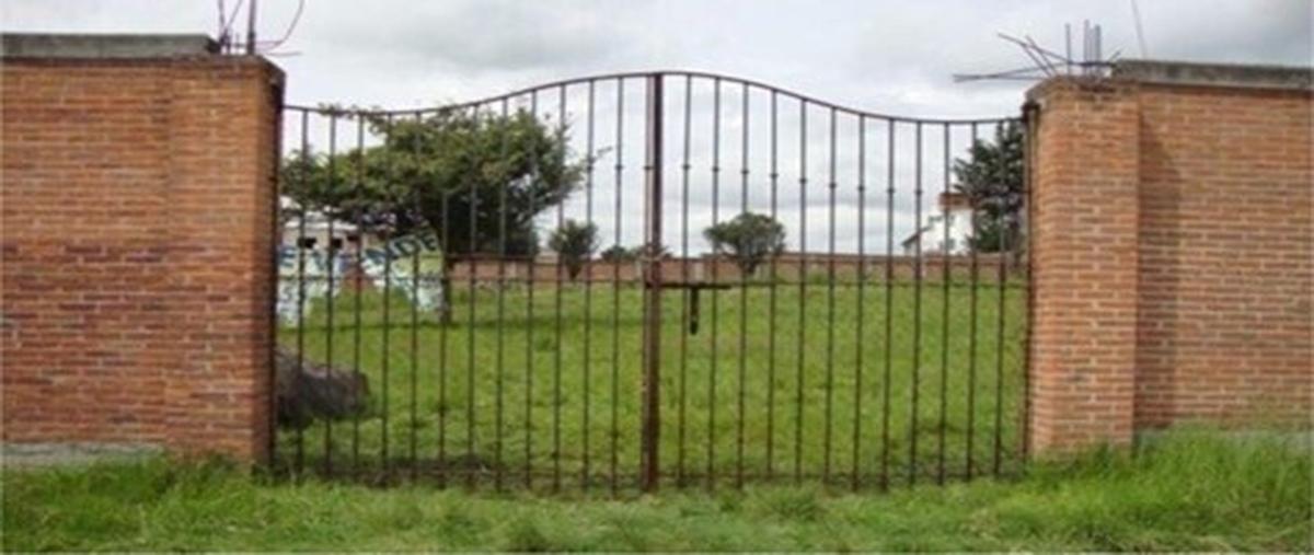 Foto de terreno habitacional en venta en  , colonia la navidad, almoloya de juárez, méxico, 29969918 No. 05