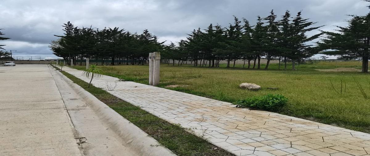 Foto de terreno habitacional en colonia los sabinos , los sabinos, comitán de domínguez, chiapas, 29081357 foto 02 Foto de terreno habitacional en venta en colonia los sabinos , los sabinos, comitán de domínguez, chiapas, 29081357 No. 02