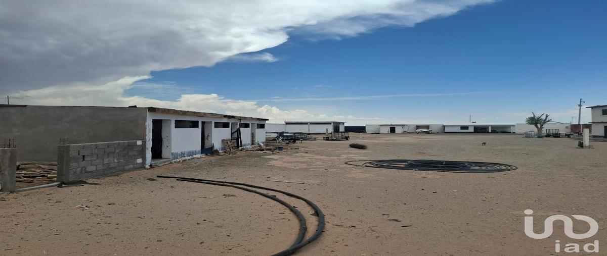 Foto de rancho en venta en colonia plazuela de acuÃ±a , plazuela de acuÃ±a, juÃ¡rez, chihuahua, 31609985 No. 04