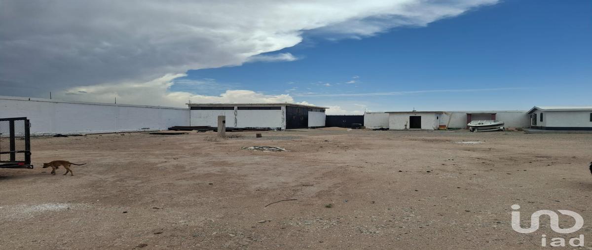 Foto de rancho en venta en colonia plazuela de acuÃ±a , plazuela de acuÃ±a, juÃ¡rez, chihuahua, 31609985 No. 05