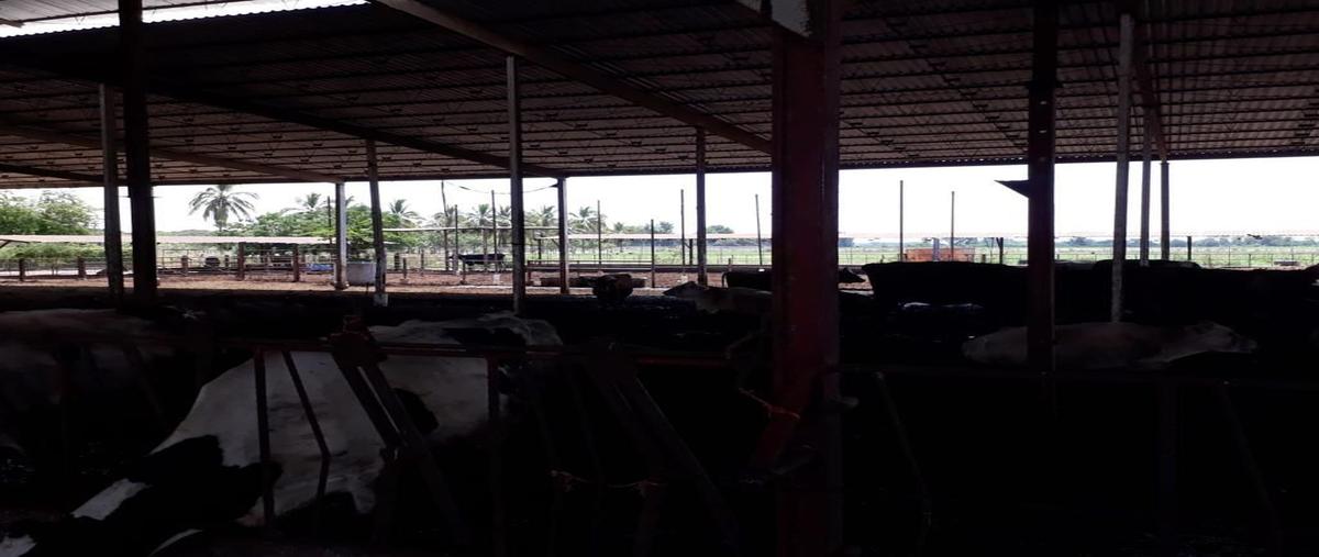 Foto de rancho en colonia primavera , primavera, navolato, sinaloa, 0 foto 04 Foto de rancho en venta en colonia primavera , primavera, navolato, sinaloa, 0 No. 04