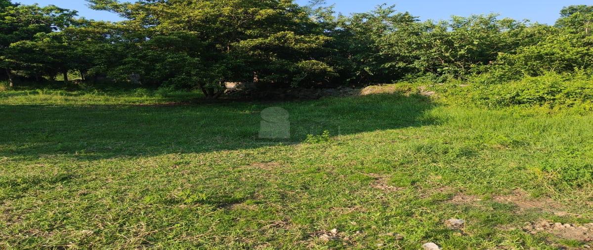 Foto de terreno habitacional en colonia vicente 1, anton lizardo, alvarado, veracruz de ignacio de la llave, 30325291 foto 04 Foto de terreno habitacional en venta en colonia vicente 1, anton lizardo, alvarado, veracruz de ignacio de la llave, 30325291 No. 04