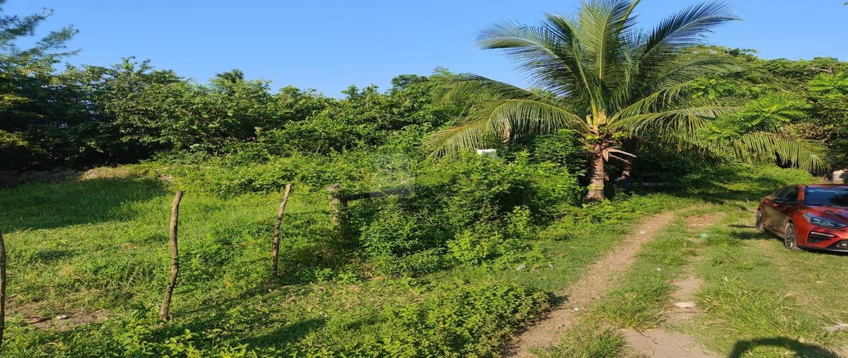 Foto de terreno habitacional en colonia vicente 1, anton lizardo, alvarado, veracruz de ignacio de la llave, 30325291 foto 05 Foto de terreno habitacional en venta en colonia vicente 1, anton lizardo, alvarado, veracruz de ignacio de la llave, 30325291 No. 05