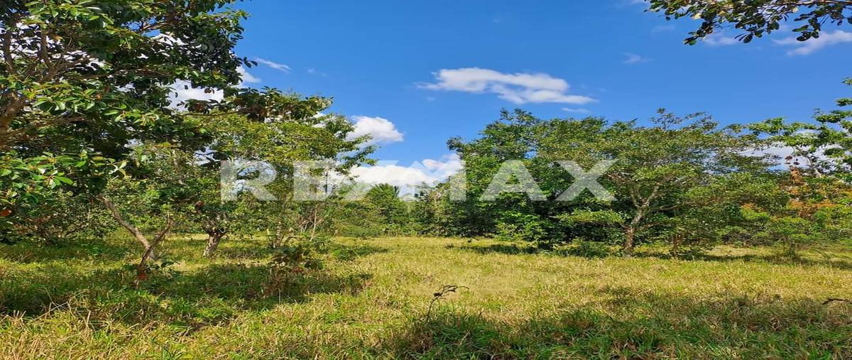 Foto de rancho en venta en colonia yucatán , rio lagartos, río lagartos, yucatán, 0 No. 03