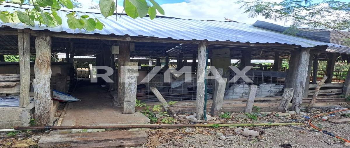 Foto de rancho en venta en colonia yucatán , rio lagartos, río lagartos, yucatán, 0 No. 04
