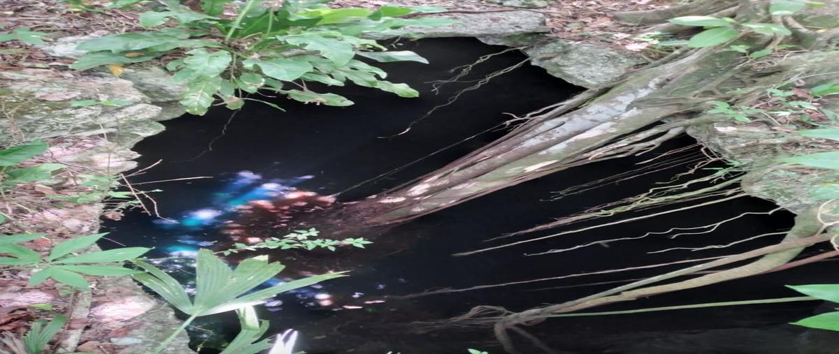 Foto de terreno habitacional en , colonia yucatán, tizimín, yucatán, 27596243 foto 04 Foto de terreno habitacional en venta en , colonia yucatán, tizimín, yucatán, 27596243 No. 04