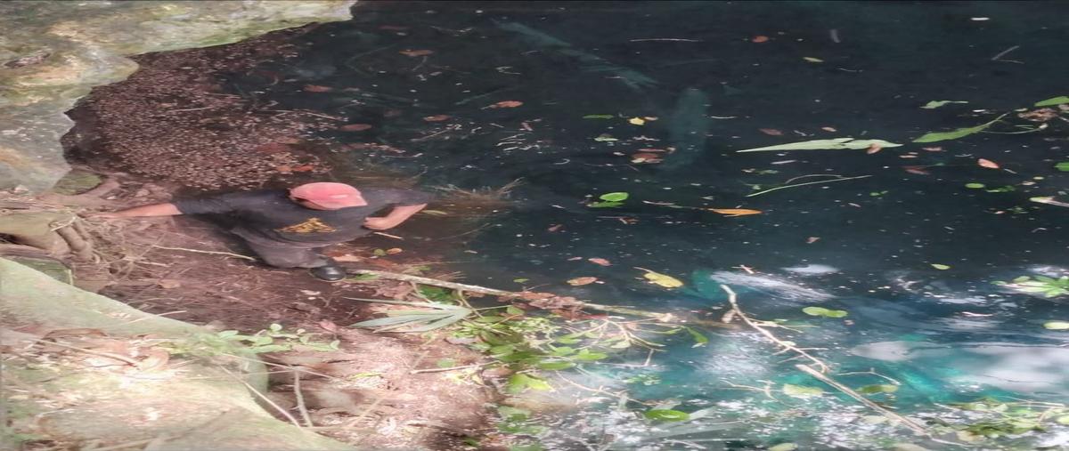 Foto de terreno habitacional en , colonia yucatán, tizimín, yucatán, 27596243 foto 05 Foto de terreno habitacional en venta en , colonia yucatán, tizimín, yucatán, 27596243 No. 05