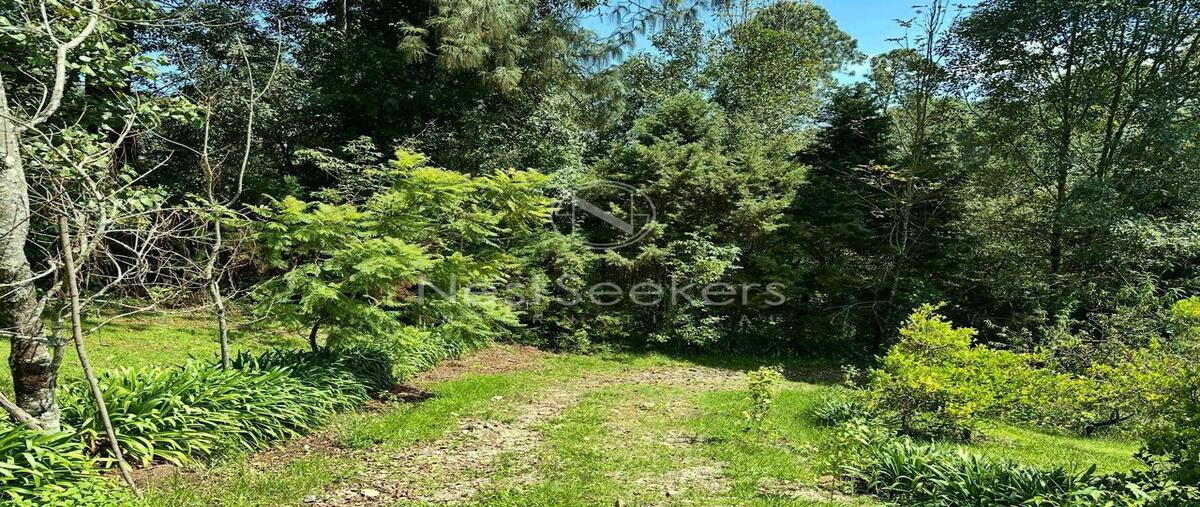 Foto de rancho en venta en colorado , cerro colorado, valle de bravo, méxico, 0 No. 04