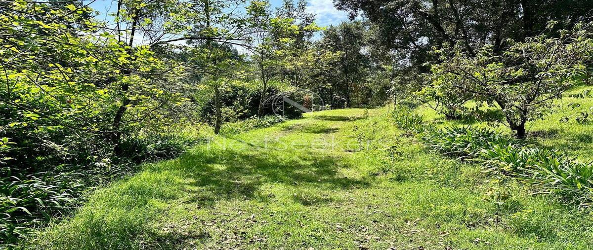 Foto de rancho en venta en colorado , cerro colorado, valle de bravo, méxico, 0 No. 05