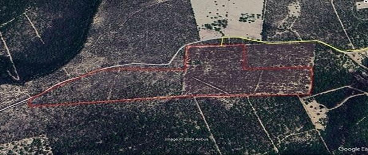 Foto de terreno habitacional en colorados de abajo , los colorados de abajo, vallecillo, nuevo león, 0 foto 03 Foto de terreno habitacional en venta en colorados de abajo , los colorados de abajo, vallecillo, nuevo león, 0 No. 03