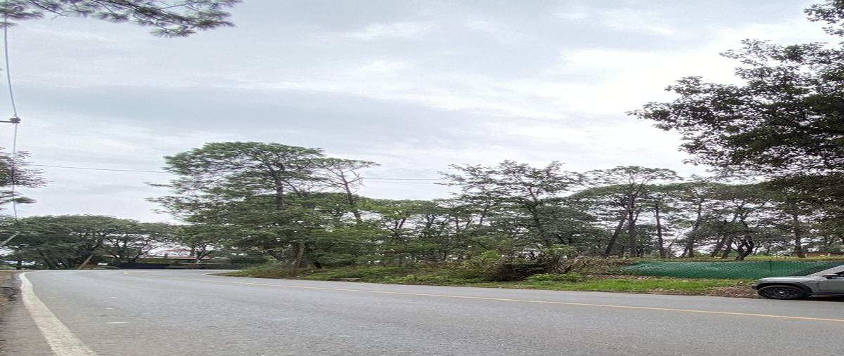 Foto de terreno habitacional en venta en colorines , avándaro, valle de bravo, méxico, 29998498 No. 05