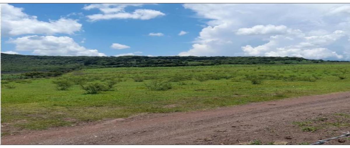 Foto de terreno habitacional en venta en  , colotitlán, tenamaxtlán, jalisco, 0 No. 03