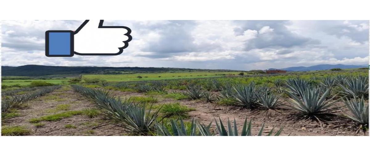 Foto de terreno habitacional en venta en  , colotitlán, tenamaxtlán, jalisco, 0 No. 04