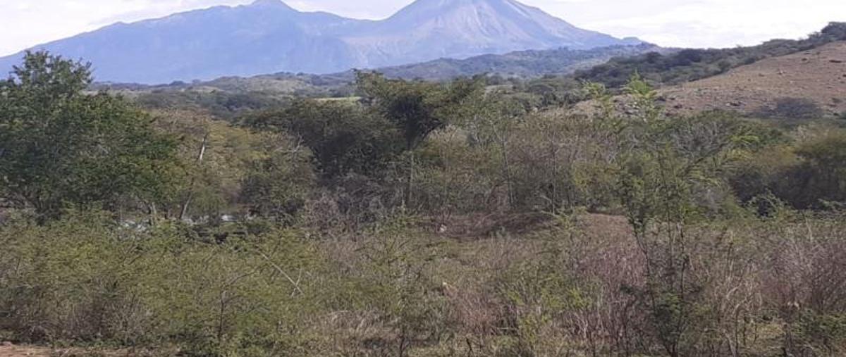 Foto de terreno comercial en venta en  , comala, comala, colima, 11910721 No. 01