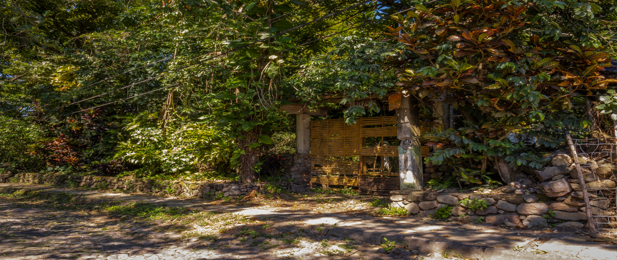 Foto de terreno habitacional en venta en  , comala, comala, colima, 25661705 No. 03