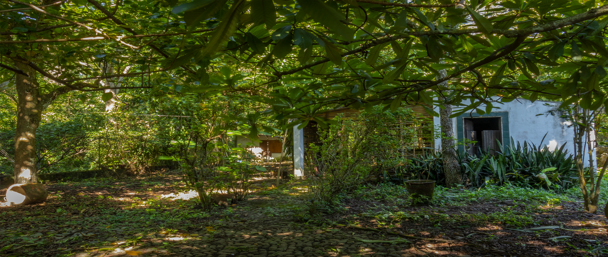 Foto de terreno habitacional en venta en  , comala, comala, colima, 25661705 No. 05