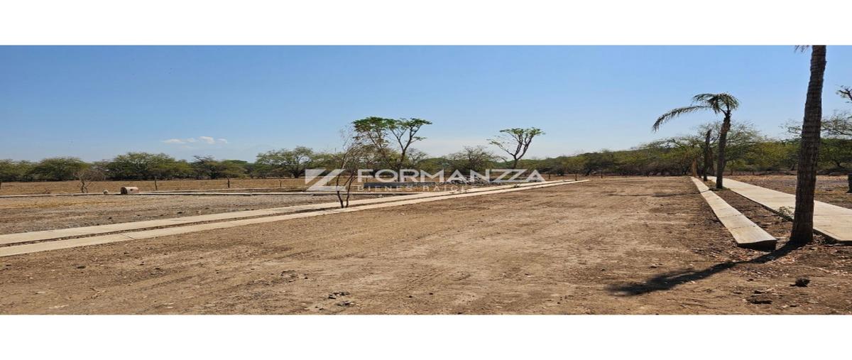 Foto de terreno habitacional en venta en  , comala, comala, colima, 0 No. 03