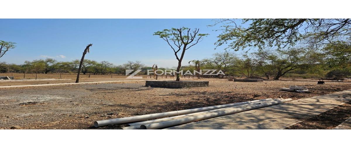 Foto de terreno habitacional en venta en  , comala, comala, colima, 0 No. 04