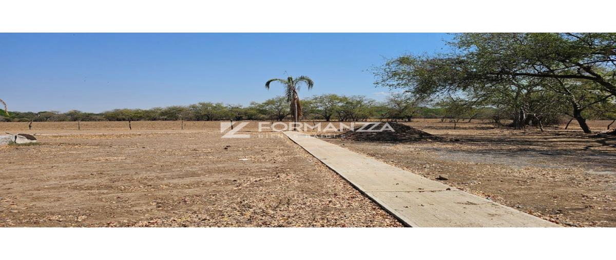 Foto de terreno habitacional en venta en  , comala, comala, colima, 0 No. 05