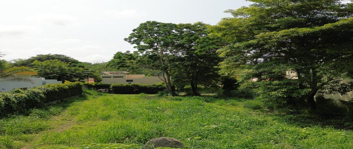 Foto de terreno habitacional en venta en  , comala, comala, colima, 0 No. 04