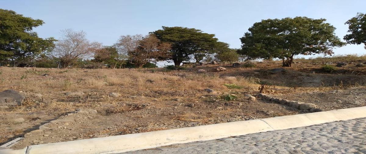 Foto de terreno habitacional en venta en comala-nogalera lote 4, la nogalera, comala, colima, 9266986 No. 04