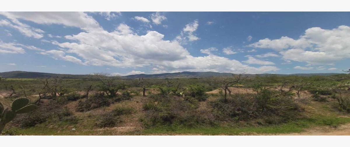 Foto de rancho en venta en  , comanja de corona, lagos de moreno, jalisco, 26000833 No. 02