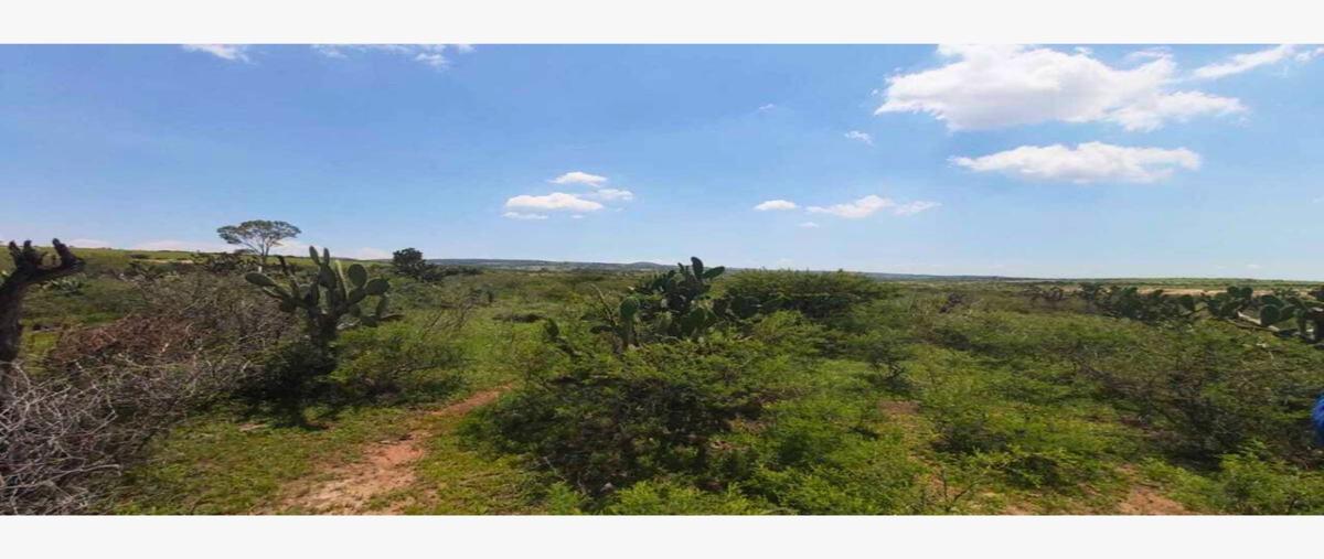 Foto de rancho en venta en  , comanja de corona, lagos de moreno, jalisco, 26000833 No. 03