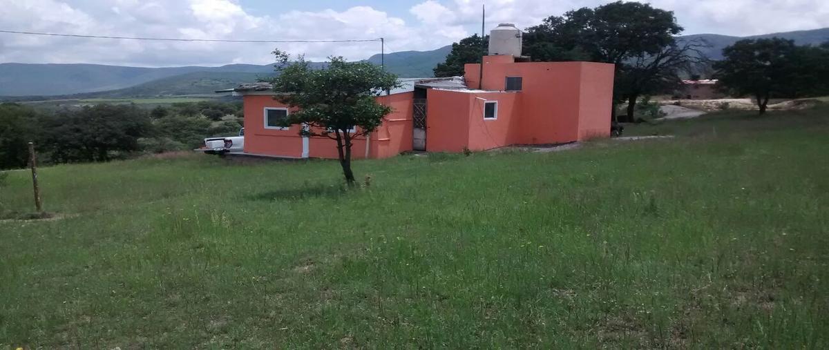 Foto de terreno habitacional en venta en  , comanja de corona, lagos de moreno, jalisco, 26208233 No. 01