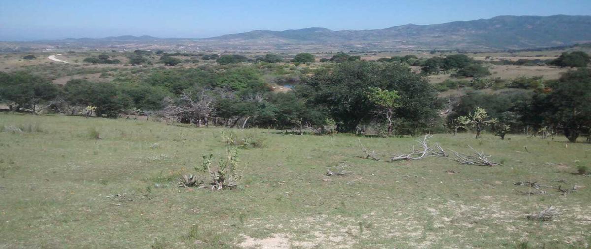 Foto de terreno habitacional en venta en  , comanja de corona, lagos de moreno, jalisco, 26208233 No. 04