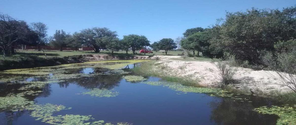 Foto de terreno habitacional en venta en  , comanja de corona, lagos de moreno, jalisco, 26208233 No. 05