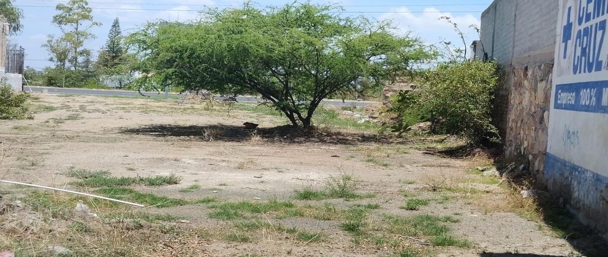 Foto de terreno habitacional en , comanjilla, silao de la victoria, guanajuato, 27034634 foto 04 Foto de terreno habitacional en renta en , comanjilla, silao de la victoria, guanajuato, 27034634 No. 04