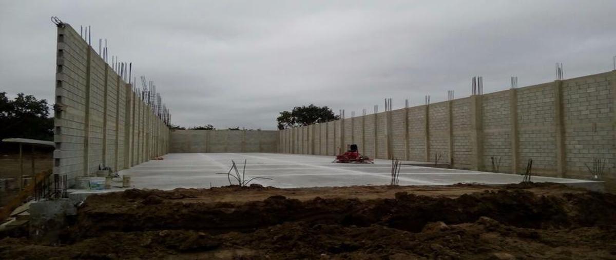 Foto de bodega en renta en  , comercial fimex, altamira, tamaulipas, 7247927 No. 02