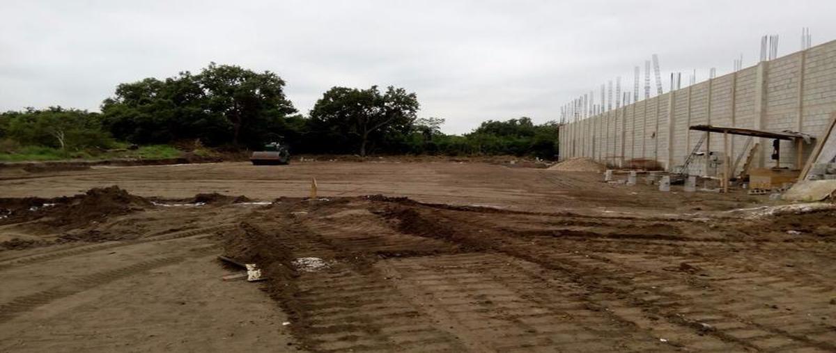 Foto de bodega en renta en  , comercial fimex, altamira, tamaulipas, 7247927 No. 03