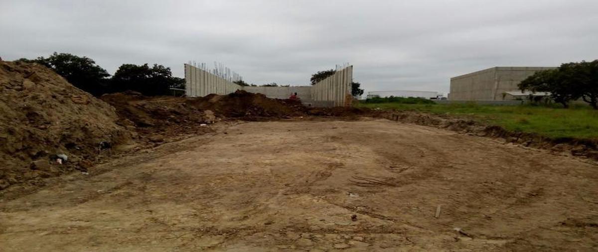 Foto de bodega en renta en  , comercial fimex, altamira, tamaulipas, 7247927 No. 04