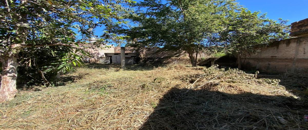 Foto de terreno habitacional en renta en  , comerciantes, tepic, nayarit, 31595954 No. 03