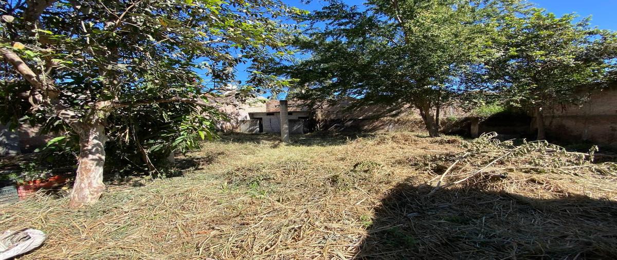 Foto de terreno habitacional en renta en  , comerciantes, tepic, nayarit, 31595954 No. 04