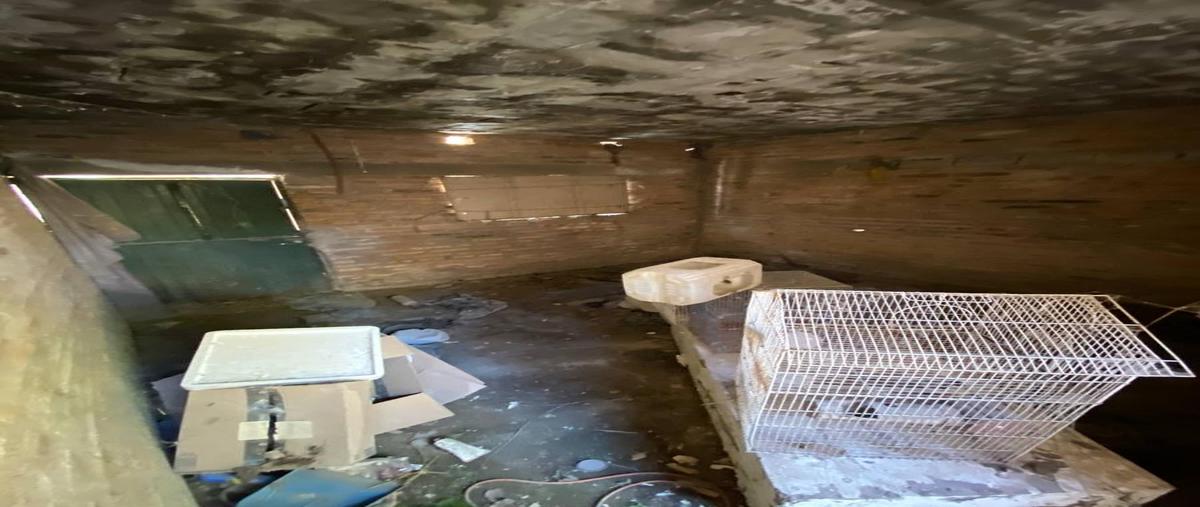 Foto de terreno habitacional en renta en  , comerciantes, tepic, nayarit, 31595954 No. 05